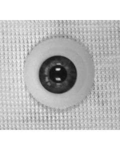 Olhos Newborn Gray -18mm 